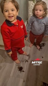 7.5M views · 24K reactions | TRANQUI LA TRAVESURA 﫣 ‍♀️Una mamá encontró a sus pequeños con las manos en...la máquina de cortar pelo.  lamartirio #radiomitre #mitrecba | Radio Mitre Córdoba | Facebook