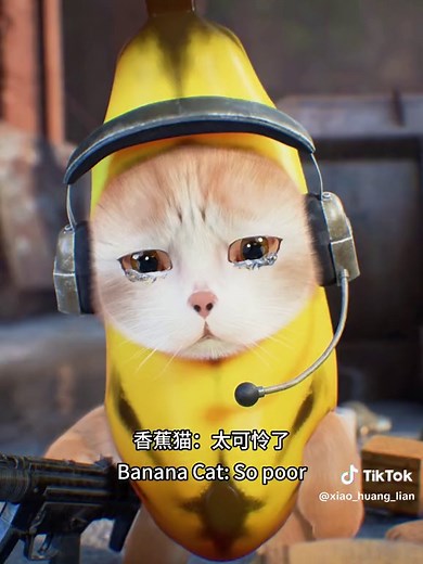 Cute Hamster Gamer: Banana Cat, Cheems, Cotton Eye Joe