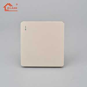 [Hot Item] 2pin 3pin Wall Switched Socket Outlet with USB Charging Ports