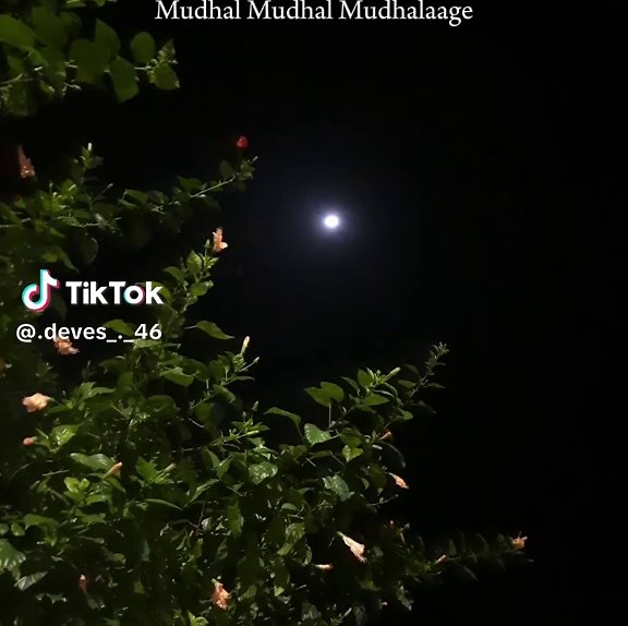 Havoc Brothers: Cintaku Buta 1.0 Song Compilation