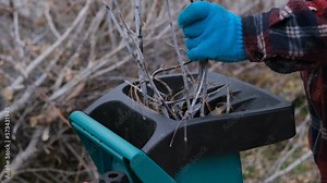 Hands put branches into garden shredder, close up. Man throws branches into a garden chopper or wood chopper for chopping trees. The concept of working in a suburban area.