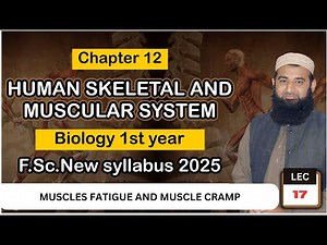 Human Skeletal & Muscular System (Ch 12) | F.Sc 1st Year Biology | Muscle Fatigue, Cramps & Disorder