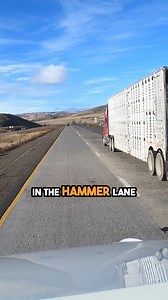 Passing Bull Hauler Feels Illegal | Trucker Curtis