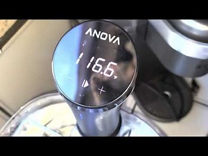 Costco Sale Item How to Use Anova Precision Cooker & Container Tutorial Review From a Beginner
