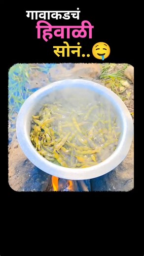 हॅलो मराठी - Helo marathi on Instagram: "उकडीच्या शेंगा ❤🤤... #maharashtra #kolhapurcity #marathi #marathimotivational #hello #marathiinspirations #marathistatus #marathimedia #marathipeople #helomarathi #हॅलो #हॅलो मराठी # helo marathi #marathi #marathilove #marathipost #marathicomedy #marathiculture #marathimulgi #marathimotivation #marathimotivational #marathistars#community #marathipeople"