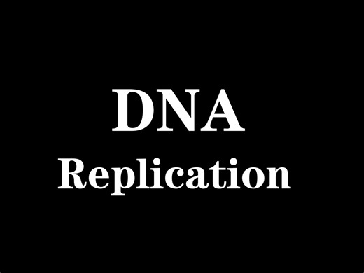 DNA REPLICATION