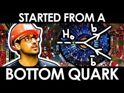 Started From A Bottom Quark (LHC Rap) | A Capella Science at CERN!