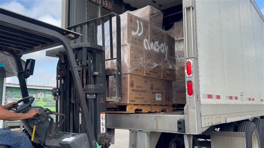 The countdown is ON ⏳🎇 Fresh fireworks are in and the celebration starts NOW! We’re OPEN and staying OPEN LATE to help you welcome the New Year with a BANG! 🎉💥 📍 J&J Nursery 4115 FM 2920 Rd, Spring, TX 77388 📞 (281) 355-6884 #NewYearsEve #NewYearFireworks #FireworksSeason #OpenLate #SpringTX #TexasFireworks #ShopLocal #JAndJNursery #CelebrateBig | J & J Nursery