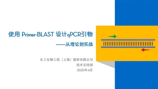 使用Primer-BLAST设计qPCR引物 从理论到实战-V1
