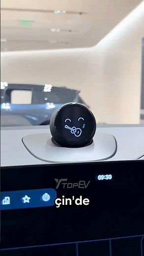 Bu Robot Arabada NE Yapıyor?