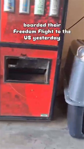 Yesterday was a day that broke our hearts… and healed them at the same time. Yesterday was a special day for four of our babies: ✨ Pierce ✨ Denali ✨ Bernard ✨ Star Yesterday was their Freedom Flight. A Freedom Flight is the moment we’ve been working toward from the very first day we rescued them, the moment they leave the island that couldn’t give them a family, and step into a future where they are wanted, chosen, and loved. Yesterday, with trembling paws and brave little hearts, they boarded a