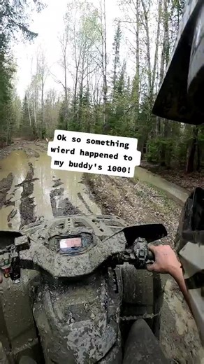 Misterdionne on TikTok