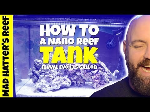 How to Setup a Nano Reef Tank | Fluval EVO 13.5