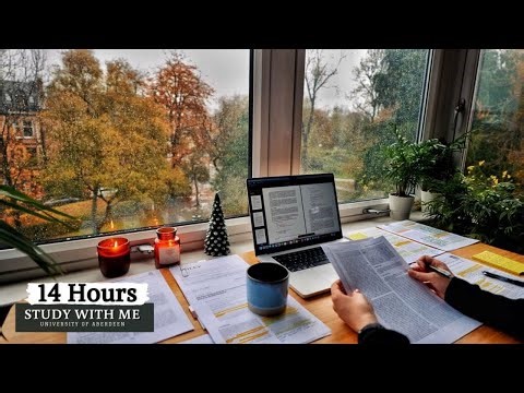 LIVE | 14 HOUR STUDY WITH ME | Pomodoro 50/10, Rain Sounds, Deep Work Focus, Cozy UK Ambience