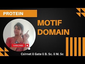 Motif & Domain🔥 ll Difference between Motif & Domain #protein #csirnet