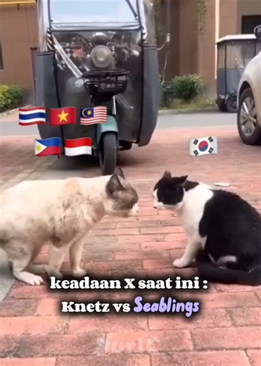 Klw soal ngerosting mah kasih ke Neti Indo 🤣 #knetz #seablings #asean #war #fyp