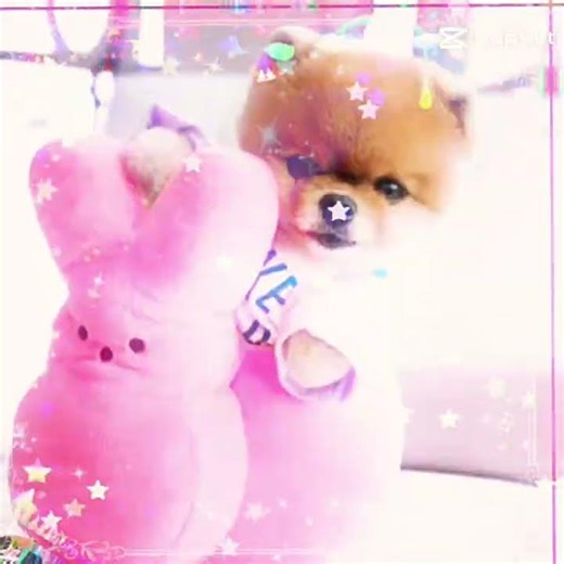 Boo is in the good mood, ( ignore the skeleton that apears in the middle)!!!!