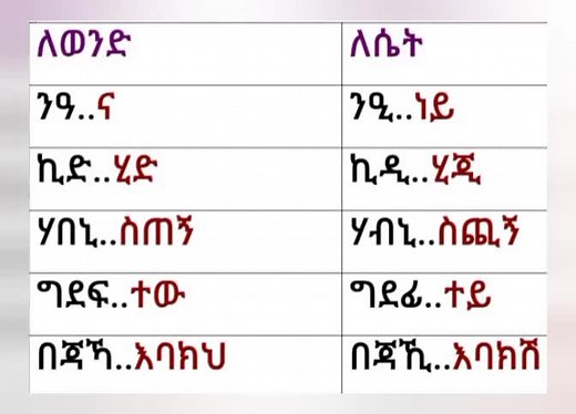 Learn tigrigna with me☺ #fyp #fypviral #viralvideo #ethiopian_tik_tok #habeshatiktok #tigrigna #learntigrigna @አይናሚት🥀