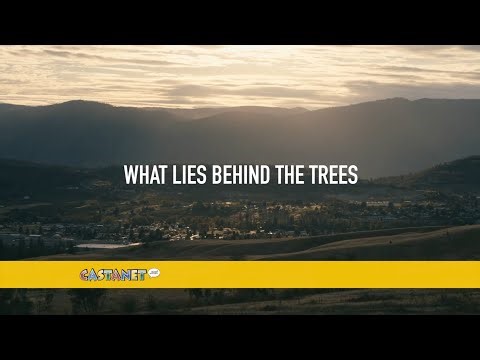 Okanagan Forest Task Force documentary debuts Wednesday