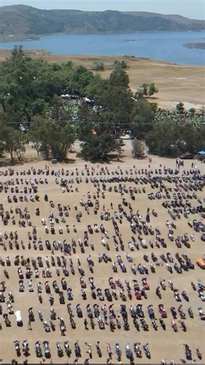 The BadGuy on Instagram: "Good morning from Southern California! @bornfreeshow • 📣June 21st & 22nd is the 16th annual Born-Free Motorcycle Show. 1000’s of custom, vintage and performance motorcycles, 160 vendors, 6 bands, @ives_brothers wall of death, @vans Vert ramp demo, @sandiegocustoms FXR/ Performance shows, @dangerdanimal Kick Start⚡️Contest, @sscycle Builder Showcase, awards, giveaways & more. Sunday Ride-In Grass Pass admission is available @losermachine General Admission is available a