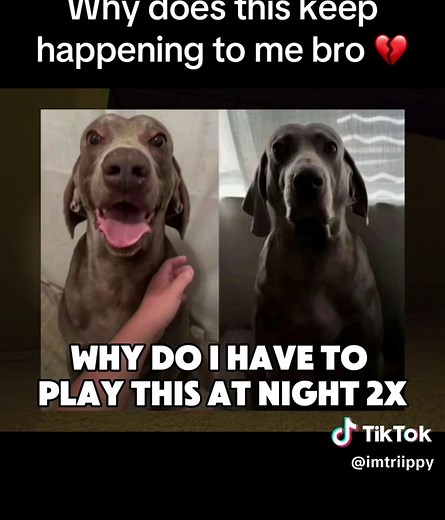 Backrooms Found Footage Mod for Minecraft Horror