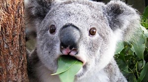 22K views · 15 reactions | Nature can be beautiful and is filled with...