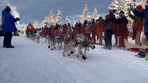 Alright gang, let’s cheer on Isaac and the pups on the Quest 300 race! He has a mixed group of dogs ranging from the great and might Iditarod champion Prophet, to Mufasa, who is taking on his first ever race. You can track the teams’ progress here http://trackleaders.com/yukonquestak23 Isaac is wearing bib #36 | Dallas Seavey