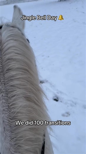 Jingle Bell Day | Calling Bird Farm LLC | Facebook