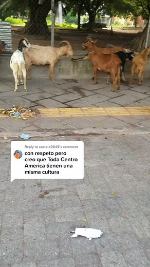 Exploring El Salvador: A Glimpse into Rural Life and Culture