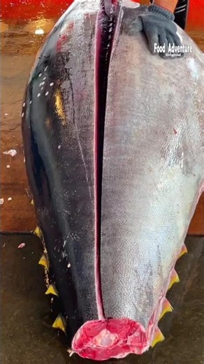 Why Tuna Fish Is Cut and Bled First | Tuna Processing Explained