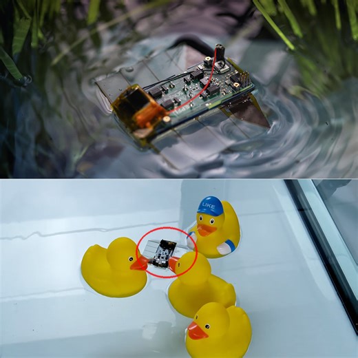 This Marine Flatworm-Inspired Miniature Swimming Robot Weighs Just 6 Grams