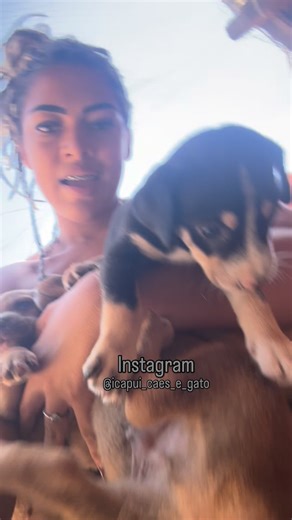 ONG CÃES E GATO on Instagram