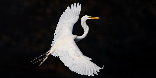 2025 Global Outlook for Banking and Financial Markets