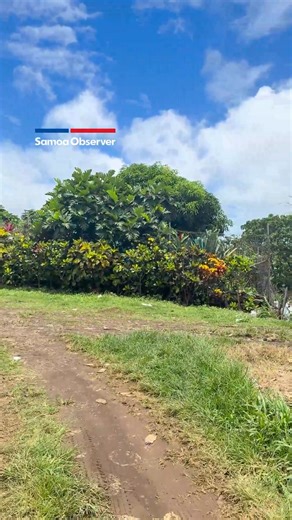25K views · 213 reactions | Rubbish has piled up in Toamua-Uta, near the Vaitele-Fou back road. Old nappies, food scraps, plastic bottles, car tyres, old clothes, and black rubbish bags filled with grass and leaf cuttings are stinking up the neighbourhood. Video: Junior S. Ami / Samoa Observer. | Samoa Observer | Facebook