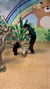 454K views · 10K reactions | In Chimelong Safari Park (#Guangzhou), this little brown #bear was abandoned by its mother because it was too weak. But, thankfully, the keepers gave it tons of love!癩癩 May he grow up to be a strong and healthy bear! | T-Time HK | Facebook