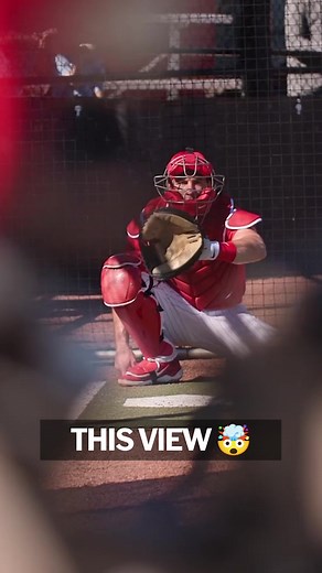 Frame it #SpringTraining | MLB