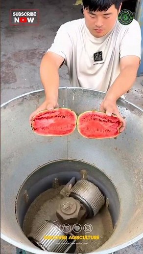 Amazing Pellet Feed Making Machine