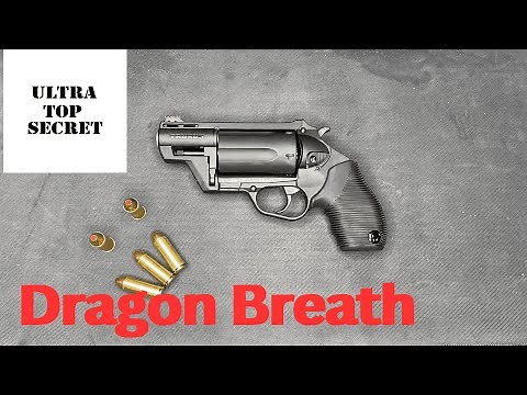 Taurus Judge Public Defender Best Review!