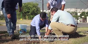 19K views · 267 reactions | En el día mundial del medio ambiente  Las acciones que propongo para Monterrey son: | Felipe De Jesús Cantú Rodríguez | Facebook