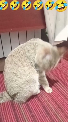 9 февраля 2026 г.