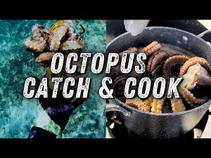 Hawaiian Octopus Catch & Cook – From Reef to Table