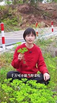 Dangers Unveiled: Poisonous Plants - Appearance Matters