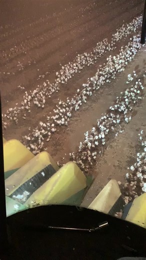 Anthony Booth (@ropinfool)’s videos with original sound - Anthony Booth