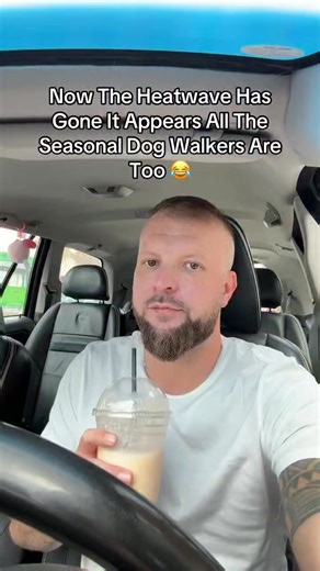 494K views · 2.6K reactions | It’s amazing how people will walk their dog in heatstroke weather, but as soon as the sun goes away, they don’t bother to take their dog out  #dogs | Southend Dog Training | Facebook