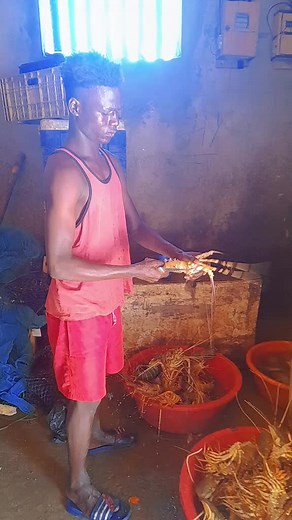 Cooking Lobsters: A Step-by-Step Guide to Seafood Prep