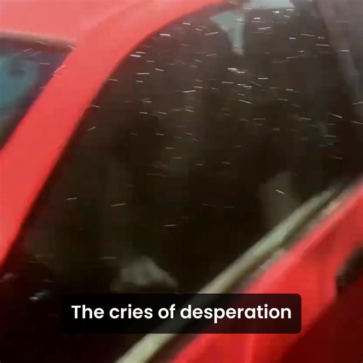 💡 Would you know what to do if your car plunged into water? Over 400 people drown in submerged car accidents every year. Car windows are designed to withstand extreme forces—making them nearly impossible to break in emergencies. Many of these tragedies are preventable if using the right tool. Introducing Flash Hammer, the ultimate escape tool for emergencies: 💥 Breaks car windows instantly—even underwater. 🪓 Cuts through seat belts in seconds. ✅ Works on all types of car glass. 🔄 Reusable an