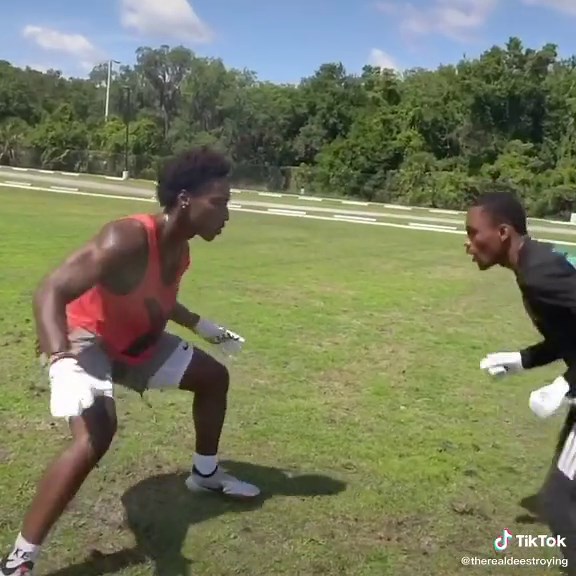 Deestroying on TikTok