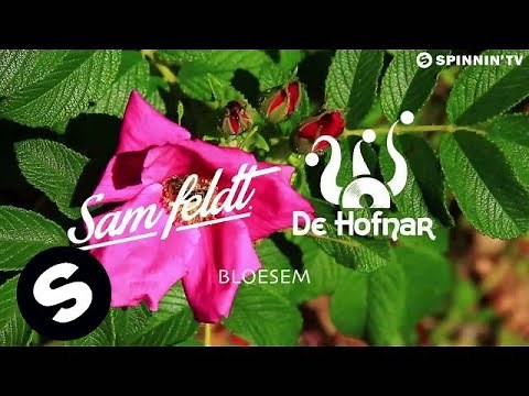 Sam Feldt & De Hofnar - Bloesem (OUT NOW)