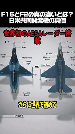 F16とF2の真の違いとは？日米共同開発機の真価#軍事 #歴史 #自衛隊 #戦闘機 #雑学 #解説 #ミリタリー #航空自衛隊