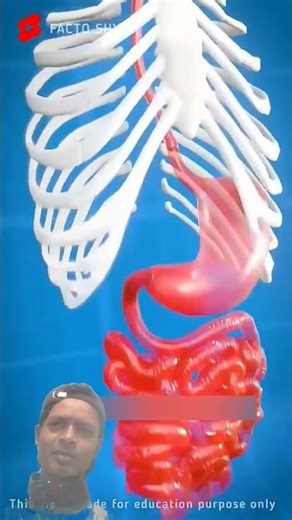 क्या होगा खाने के साथ सांप का अंडा खा ले तो #foodwise #foodministry #nutritionfirst